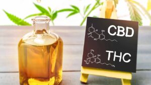 Does CBD Contain THC